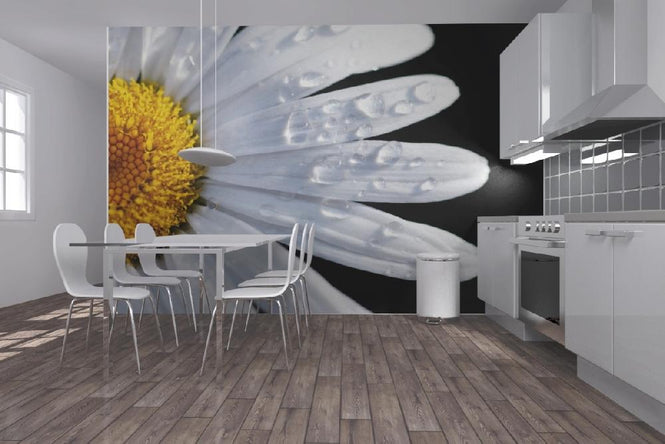 PHOTOWALL / Daisy Close up (e1842)