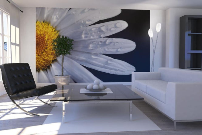 PHOTOWALL / Daisy Close up (e1842)