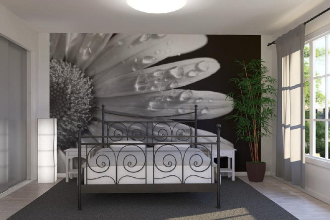 PHOTOWALL / Daisy Close up - b/w (e1843)