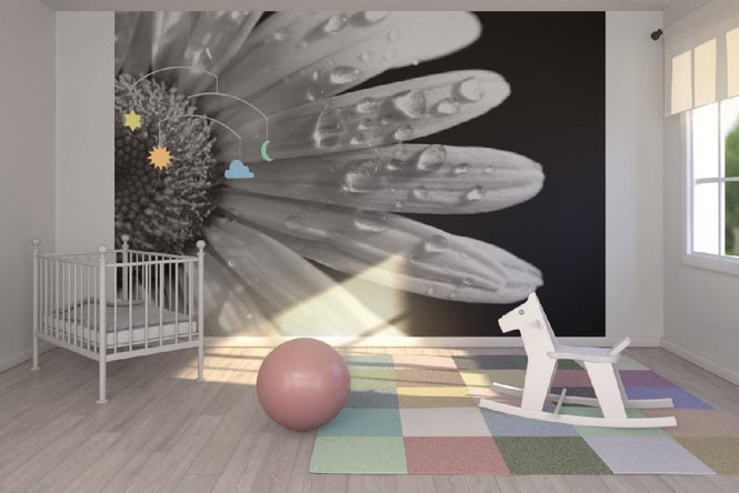 PHOTOWALL / Daisy Close up - b/w (e1843)