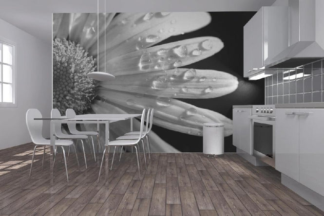 PHOTOWALL / Daisy Close up - b/w (e1843)