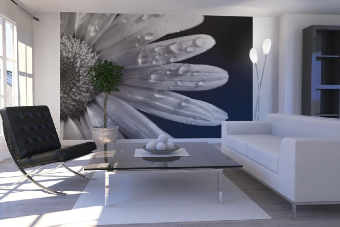 PHOTOWALL / Daisy Close up - b/w (e1843)