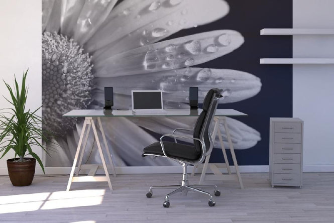 PHOTOWALL / Daisy Close up - b/w (e1843)