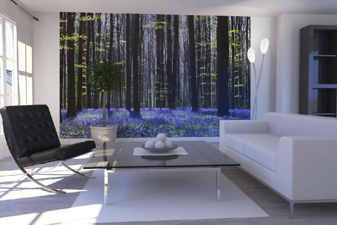 PHOTOWALL / Dark Tree and Bluebells (e1862)