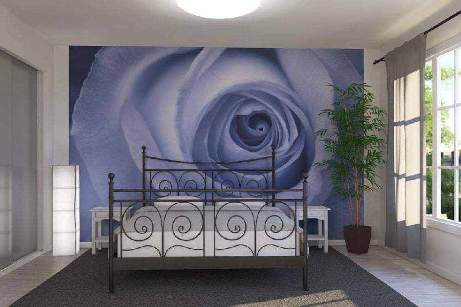 PHOTOWALL / Blue Rose (e1881)