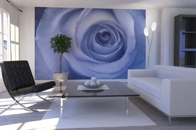 PHOTOWALL / Blue Rose (e1881)