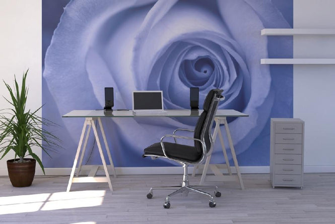 PHOTOWALL / Blue Rose (e1881)