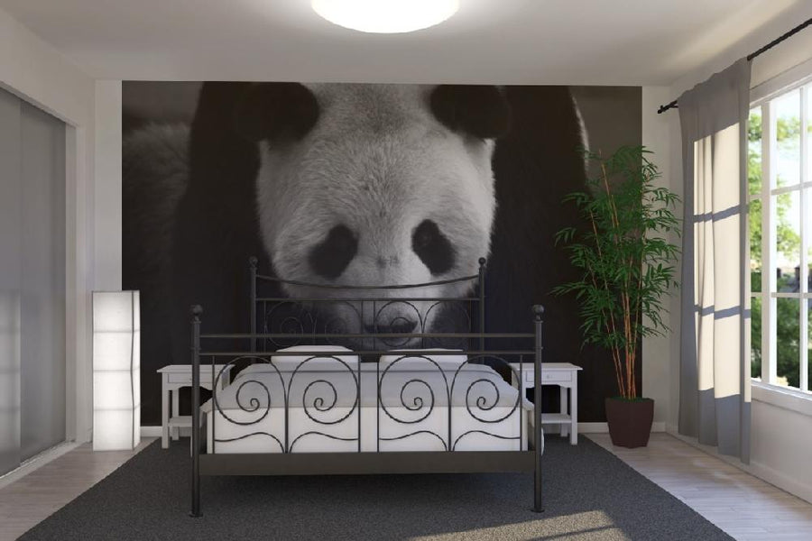 PHOTOWALL / Giant Panda - b/w (e1894)