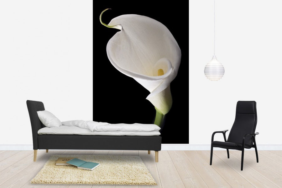 PHOTOWALL / White Calla (e1896)