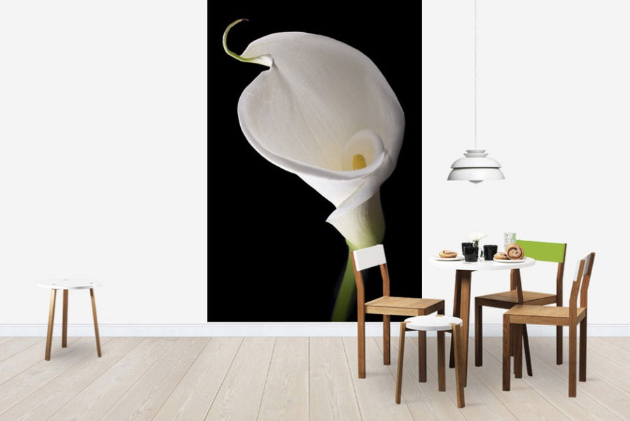 PHOTOWALL / White Calla (e1896)