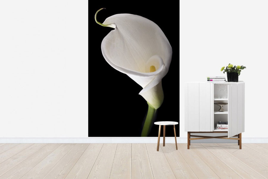 PHOTOWALL / White Calla (e1896)