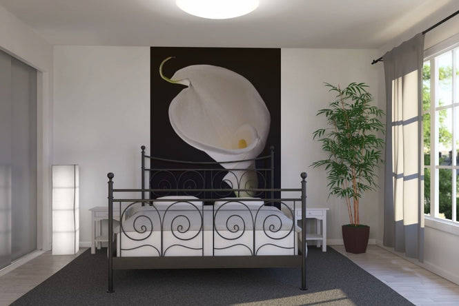 PHOTOWALL / White Calla (e1896)