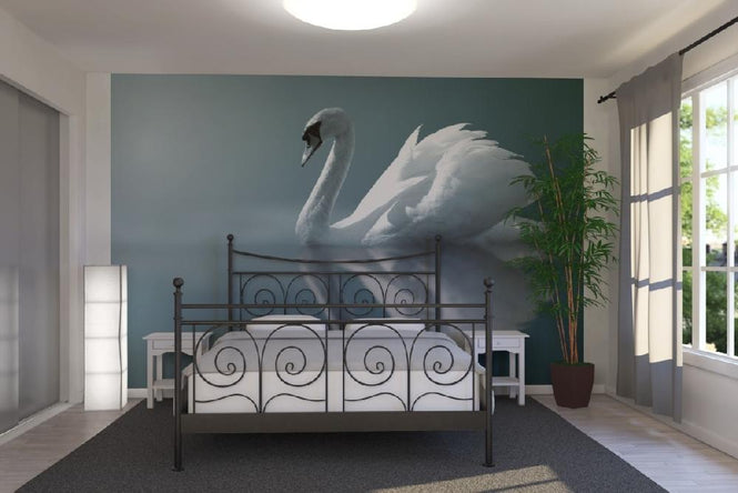 PHOTOWALL / Swan Reflection (e1905)