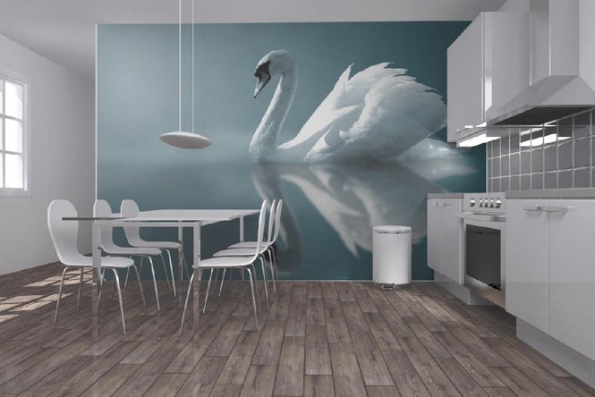 PHOTOWALL / Swan Reflection (e1905)