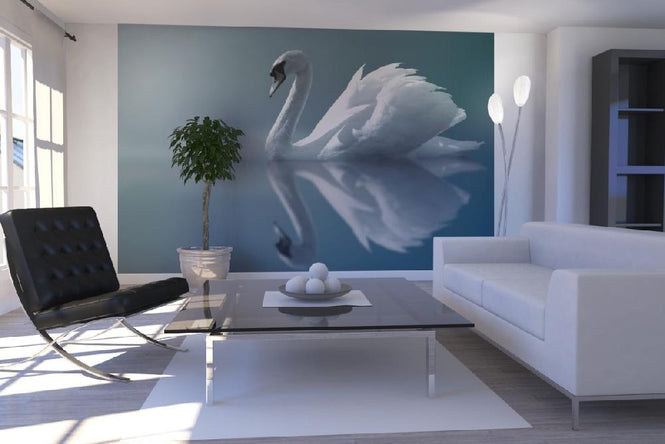 PHOTOWALL / Swan Reflection (e1905)