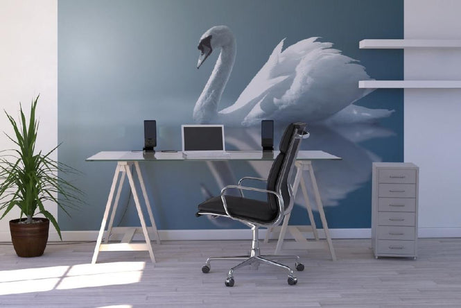 PHOTOWALL / Swan Reflection (e1905)