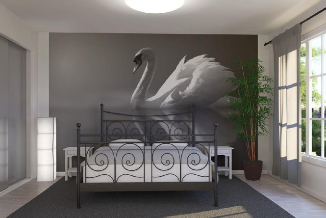 PHOTOWALL / Swan Reflection - b/w (e1906)