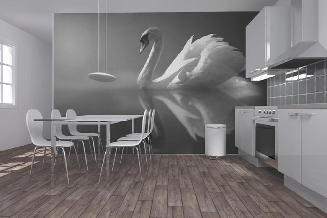 PHOTOWALL / Swan Reflection - b/w (e1906)