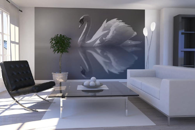 PHOTOWALL / Swan Reflection - b/w (e1906)