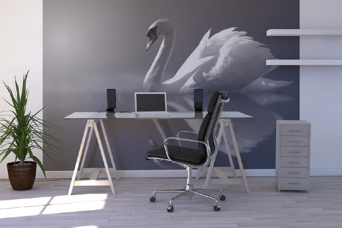 PHOTOWALL / Swan Reflection - b/w (e1906)