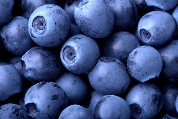 PHOTOWALL / Blueberries (e1934)