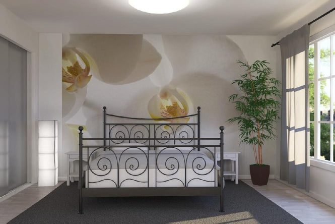 PHOTOWALL / White Orchids (e6155)