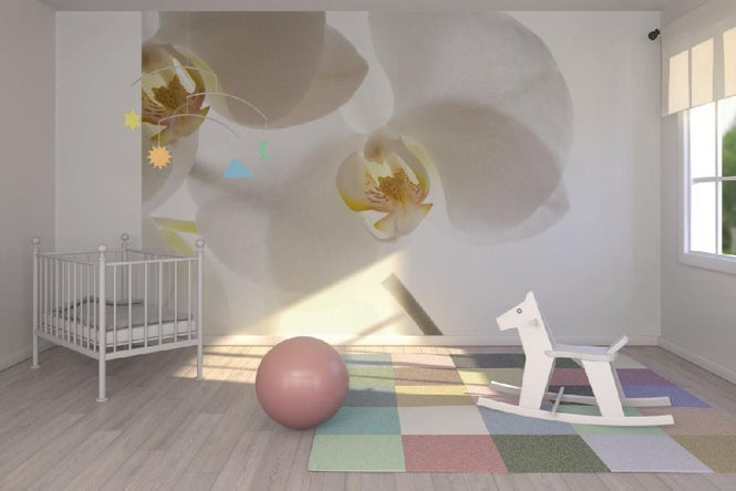 PHOTOWALL / White Orchids (e6155)