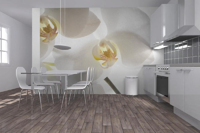 PHOTOWALL / White Orchids (e6155)