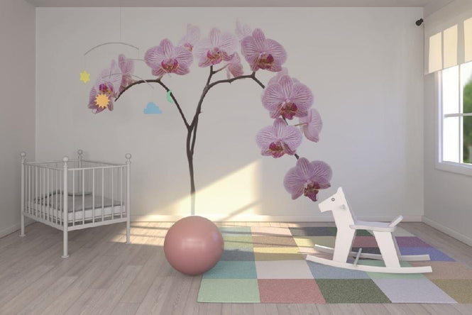 PHOTOWALL / Pink Orchids (e6199)