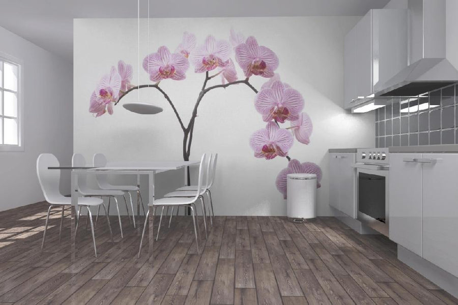 PHOTOWALL / Pink Orchids (e6199)