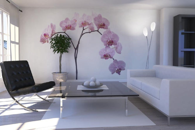 PHOTOWALL / Pink Orchids (e6199)