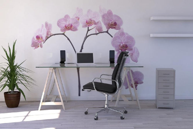 PHOTOWALL / Pink Orchids (e6199)