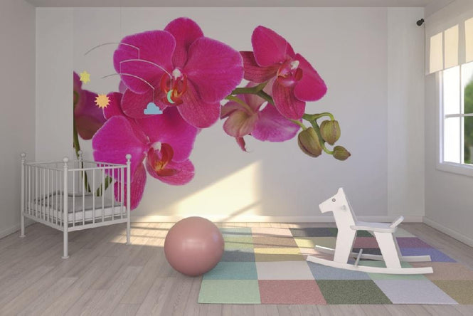 PHOTOWALL / Orchidee - White (e19498)