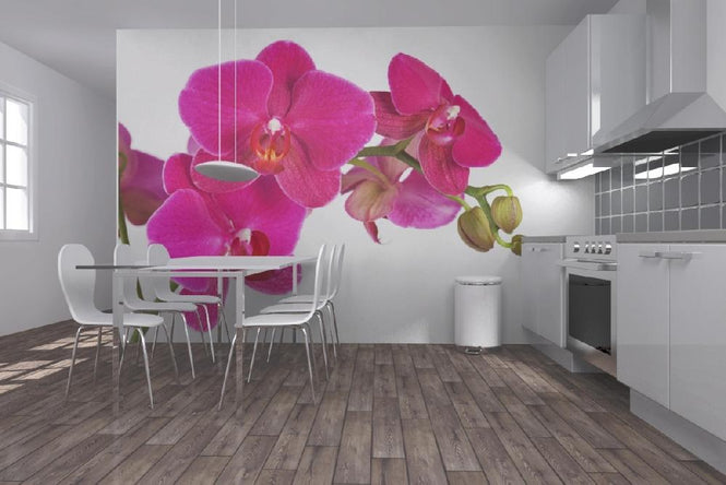 PHOTOWALL / Orchidee - White (e19498)