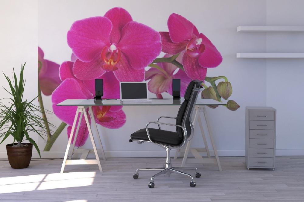 PHOTOWALL / Orchidee - White (e19498) | 輸入壁紙専門店 WALPA