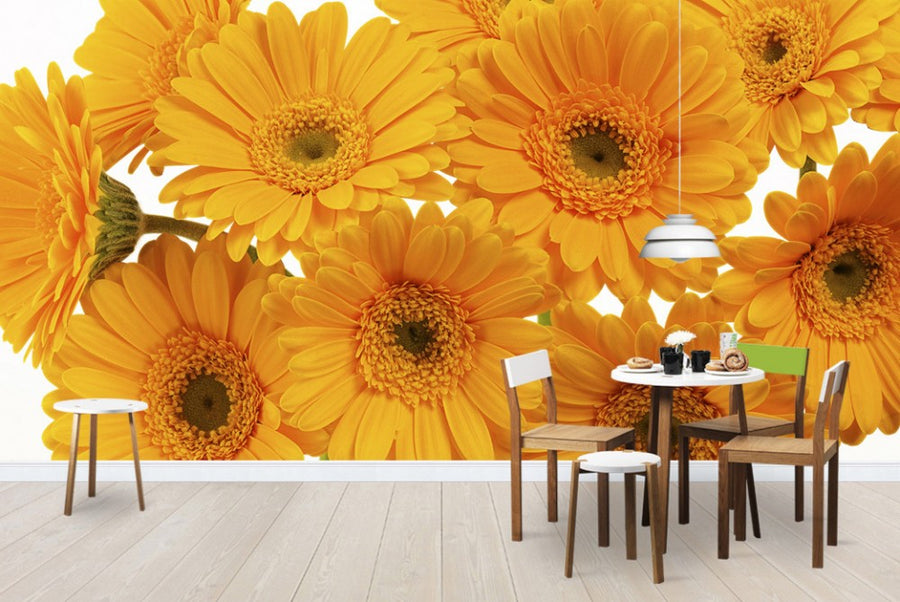 PHOTOWALL / Panoramic Flowers - White (e19496)