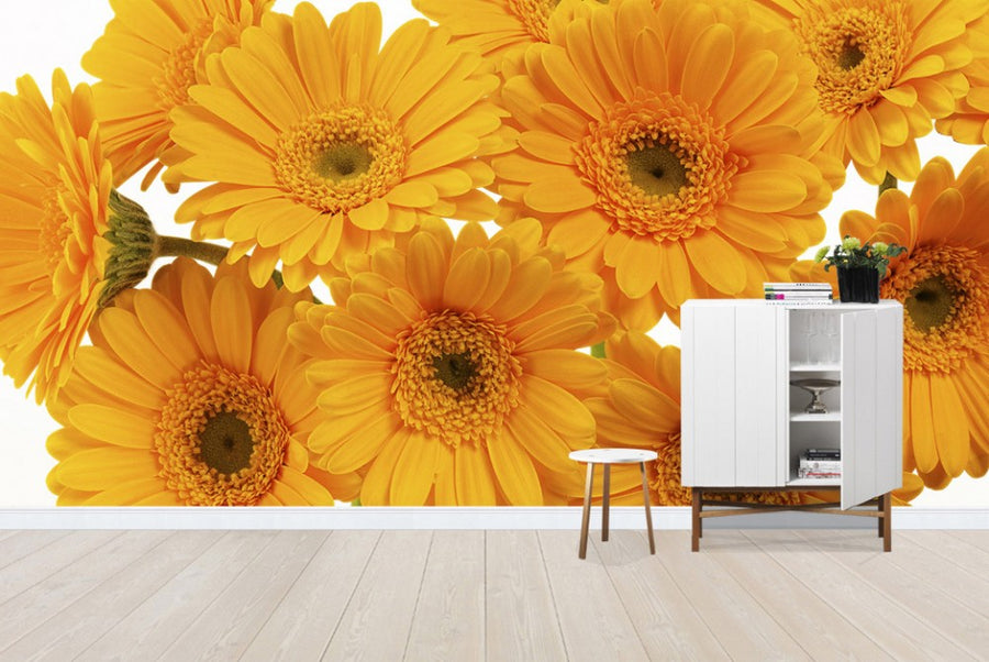 PHOTOWALL / Panoramic Flowers - White (e19496)