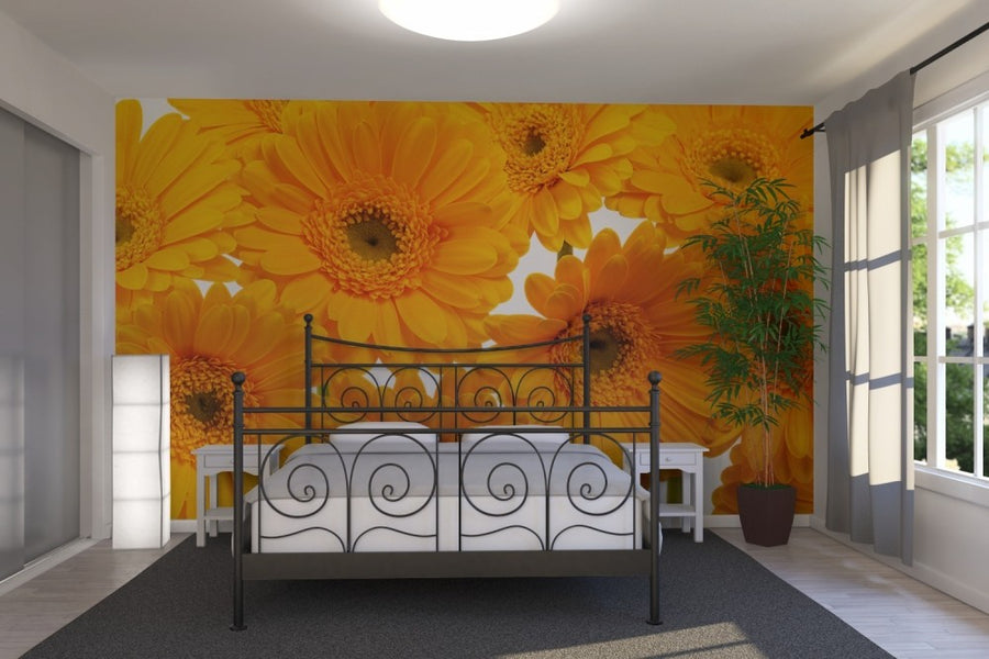 PHOTOWALL / Panoramic Flowers - White (e19496)