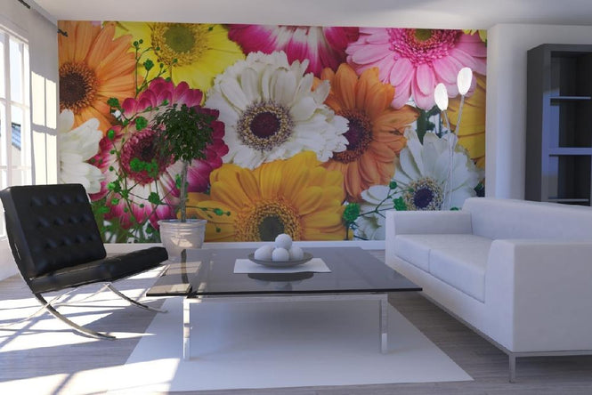 PHOTOWALL / Panoramic Flowers Colors (e19494)