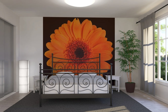 PHOTOWALL / Orange Gerbera - Black (e19493)