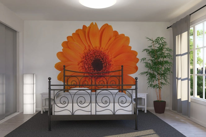 PHOTOWALL / Orange Gerbera - White (e19492)