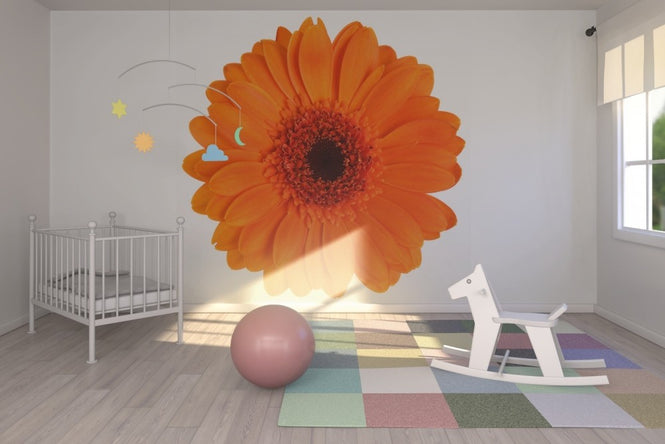 PHOTOWALL / Orange Gerbera - White (e19492)