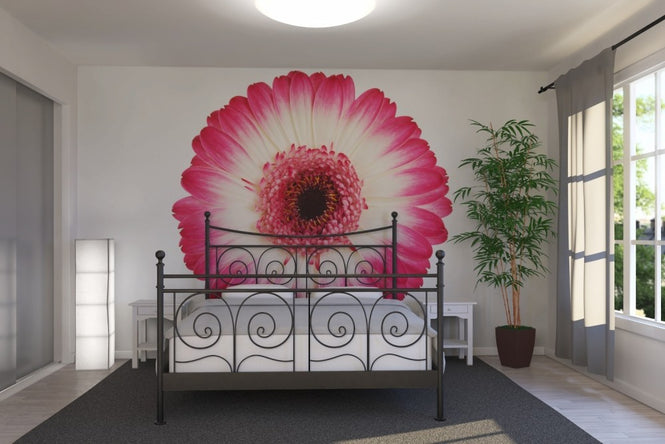 PHOTOWALL / Pink Gerbera Dark (e19488)