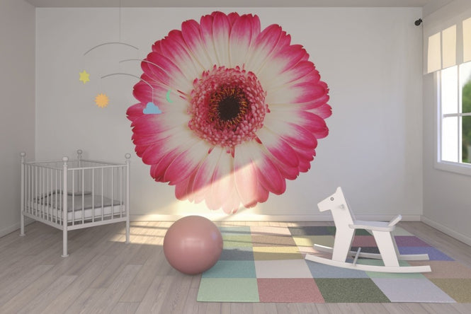PHOTOWALL / Pink Gerbera Dark (e19488)