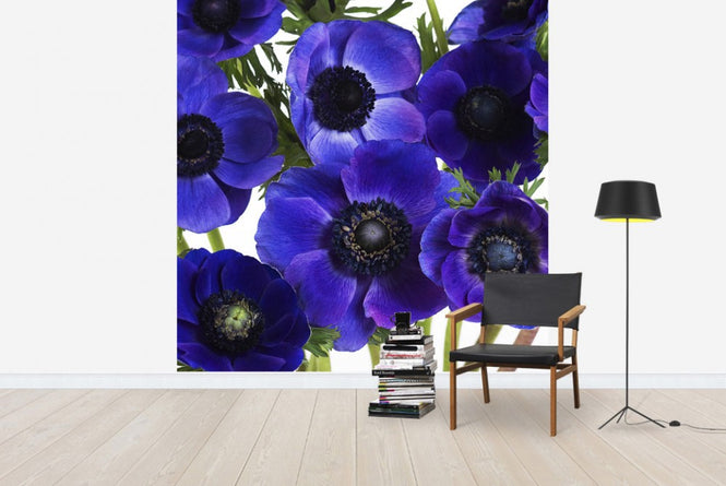 PHOTOWALL / Blue Anemons (e19483)