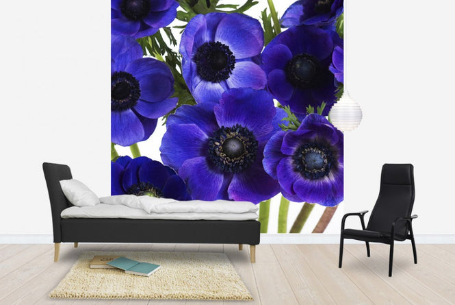 PHOTOWALL / Blue Anemons (e19483)