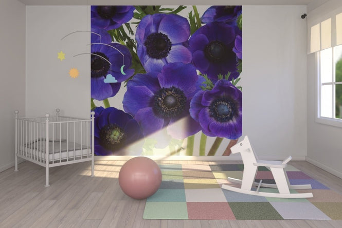 PHOTOWALL / Blue Anemons (e19483)