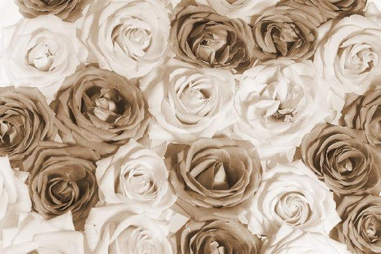 PHOTOWALL / Nice Roses - Sepia (e19474)