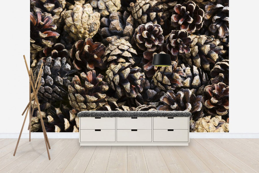 PHOTOWALL / Fir Cones (e19462)