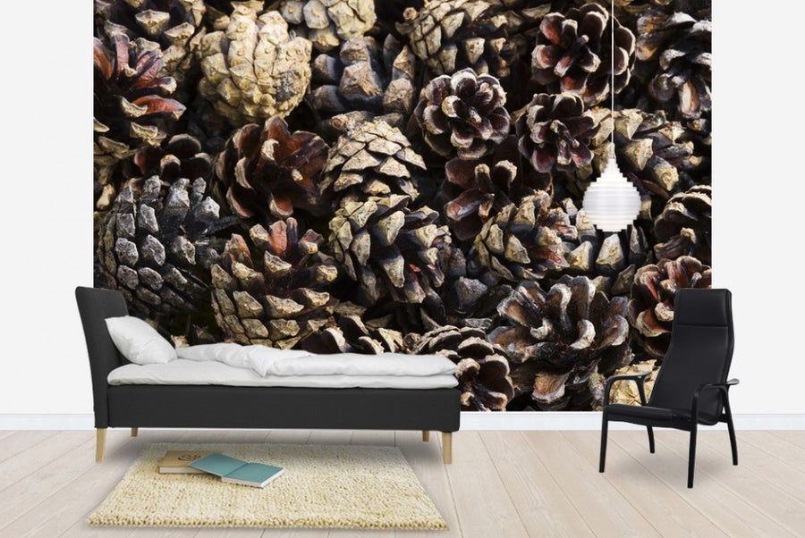 PHOTOWALL / Fir Cones (e19462)